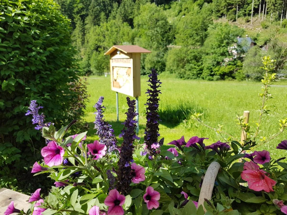 Apartmán Feriendomizil Wetzelberger Monichwald Exteriér fotografie